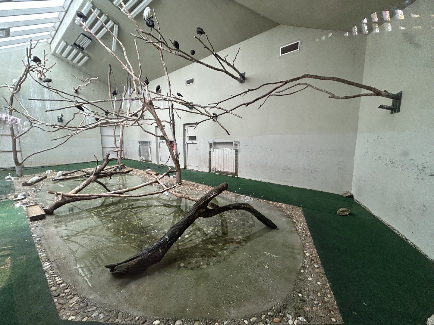 Indoor African Water Bird Exhibit