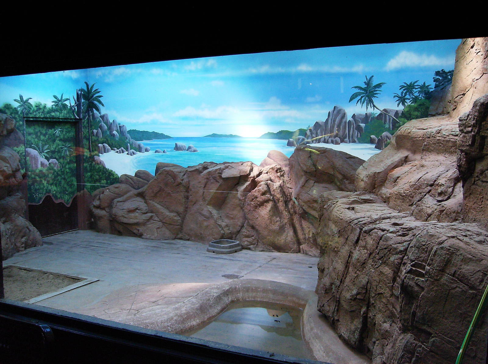 Indoor Aldabra exhibit