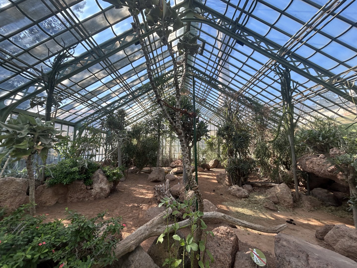 Indoor Aldabra Tortoise Exhibit - Desert House