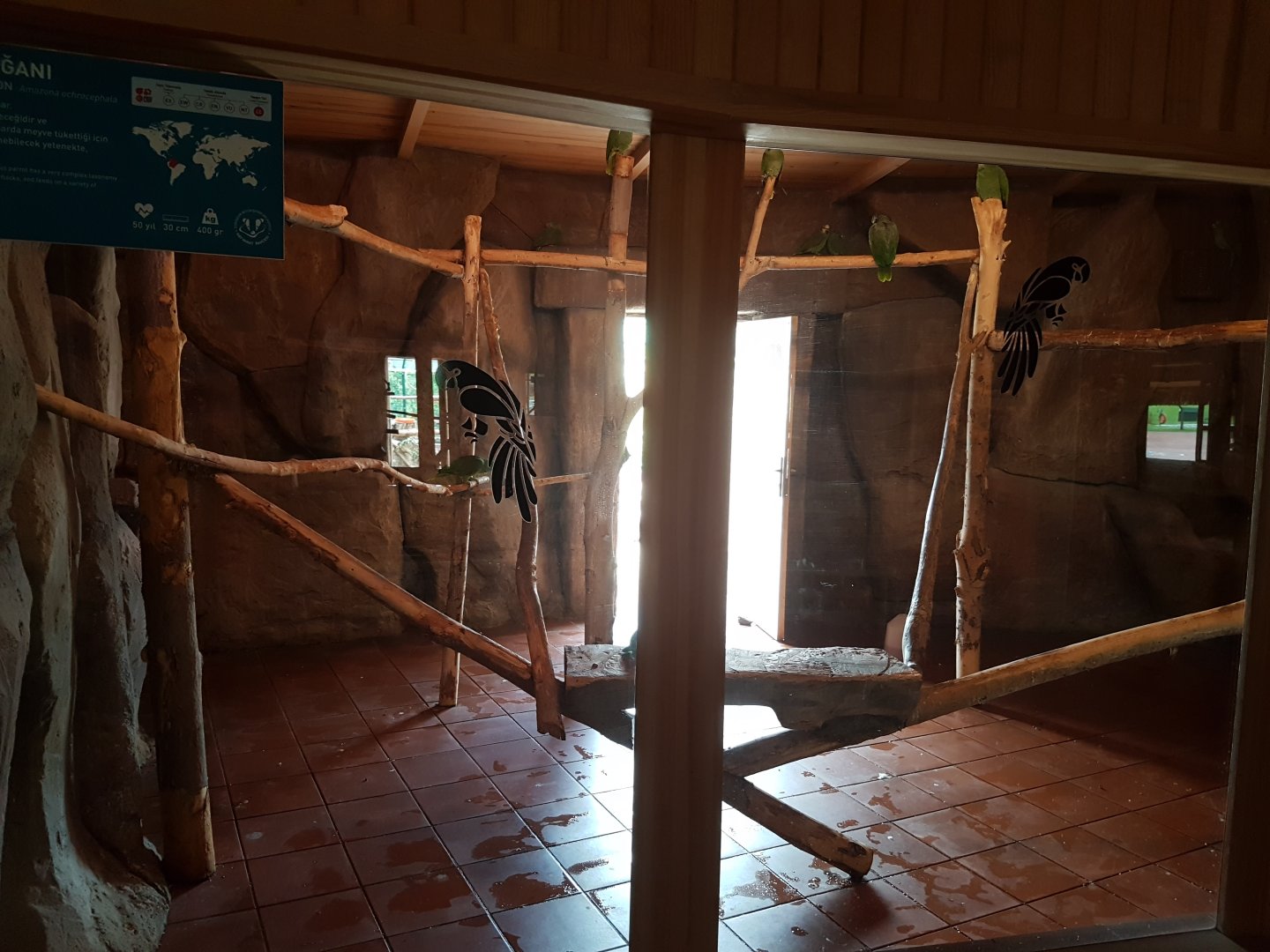 Indoor amazon enclosure 19 May 2018