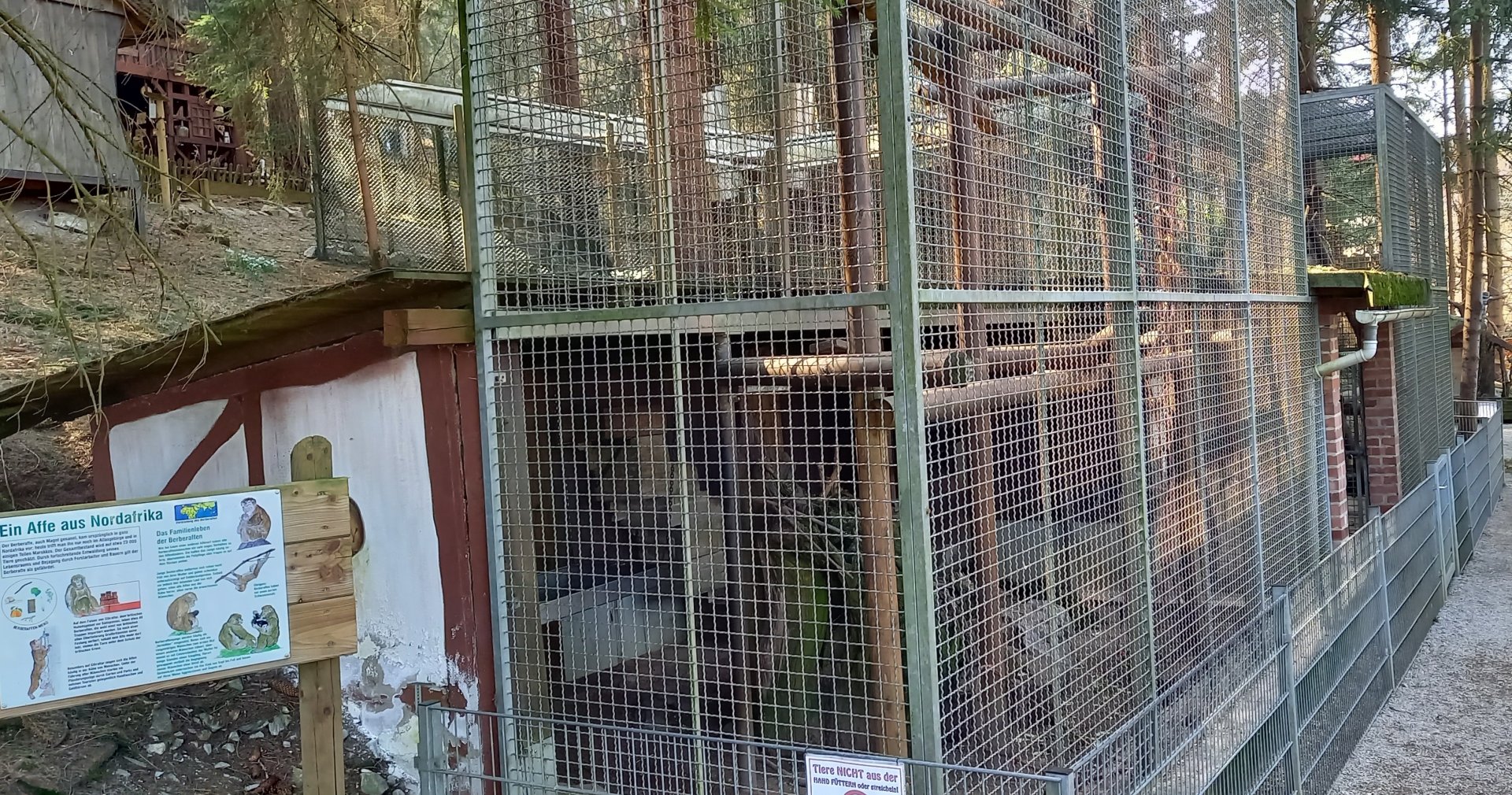 Indoor- and holding cages Barbary monkey's
