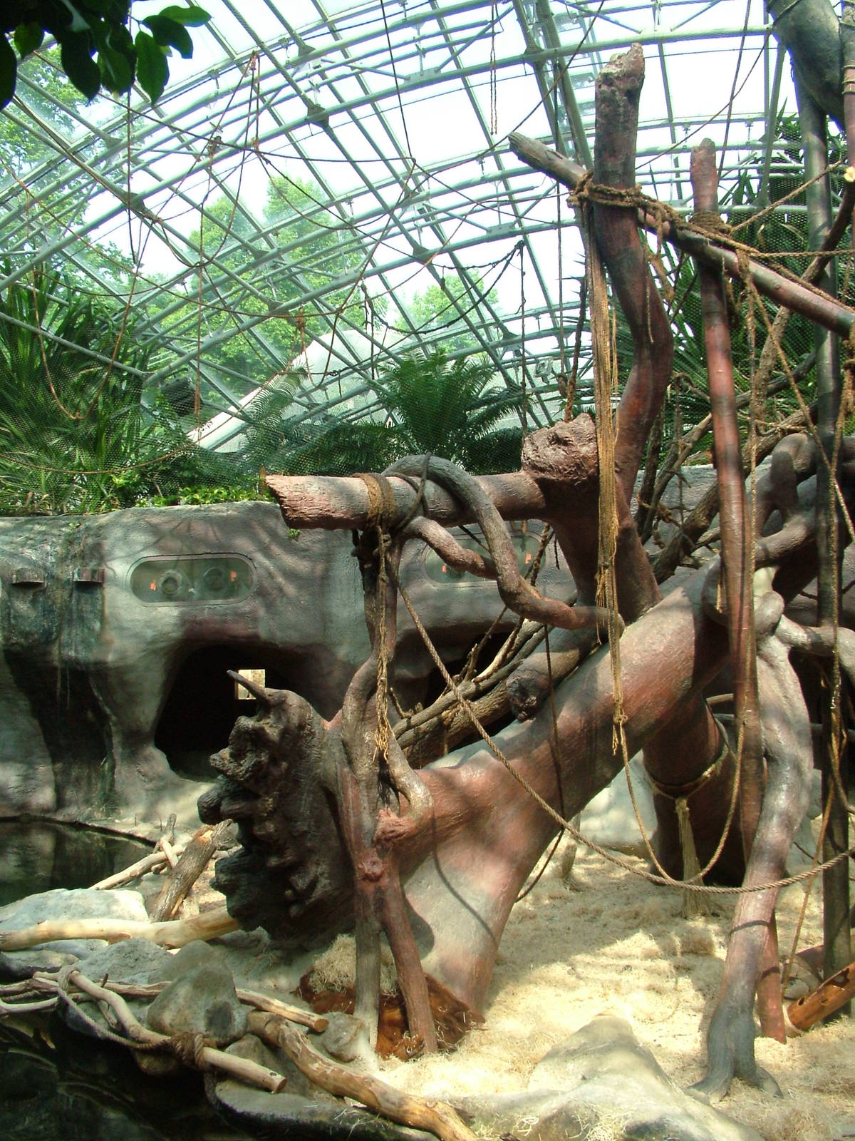 Indoor ape exhibit at Prague, 24/05/10