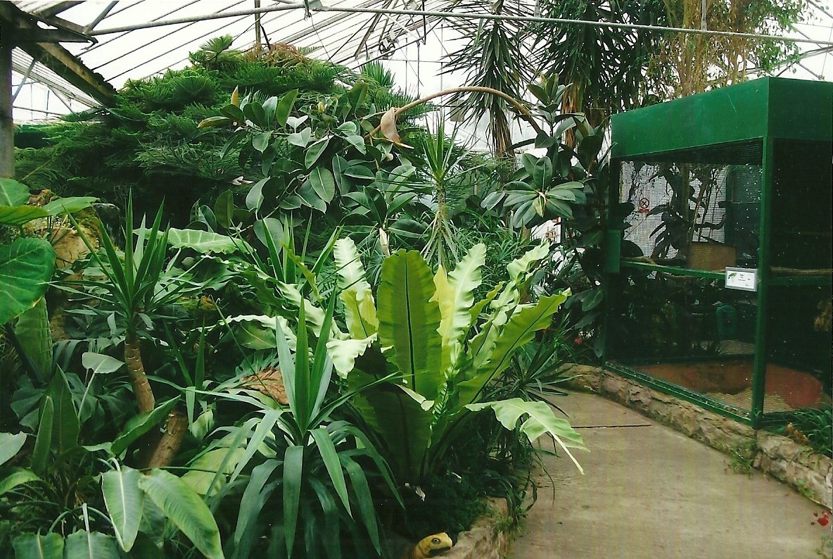 Indoor area, 13th September 2013