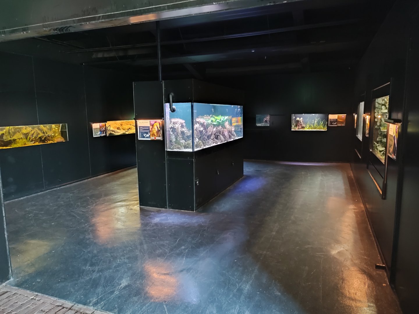 Indoor area - Aquarium and terrarium room