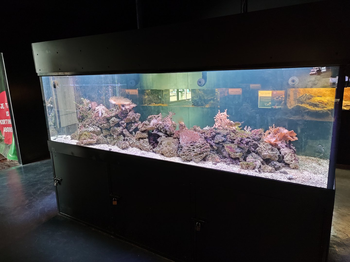 Indoor area - Caribbean reef aquarium