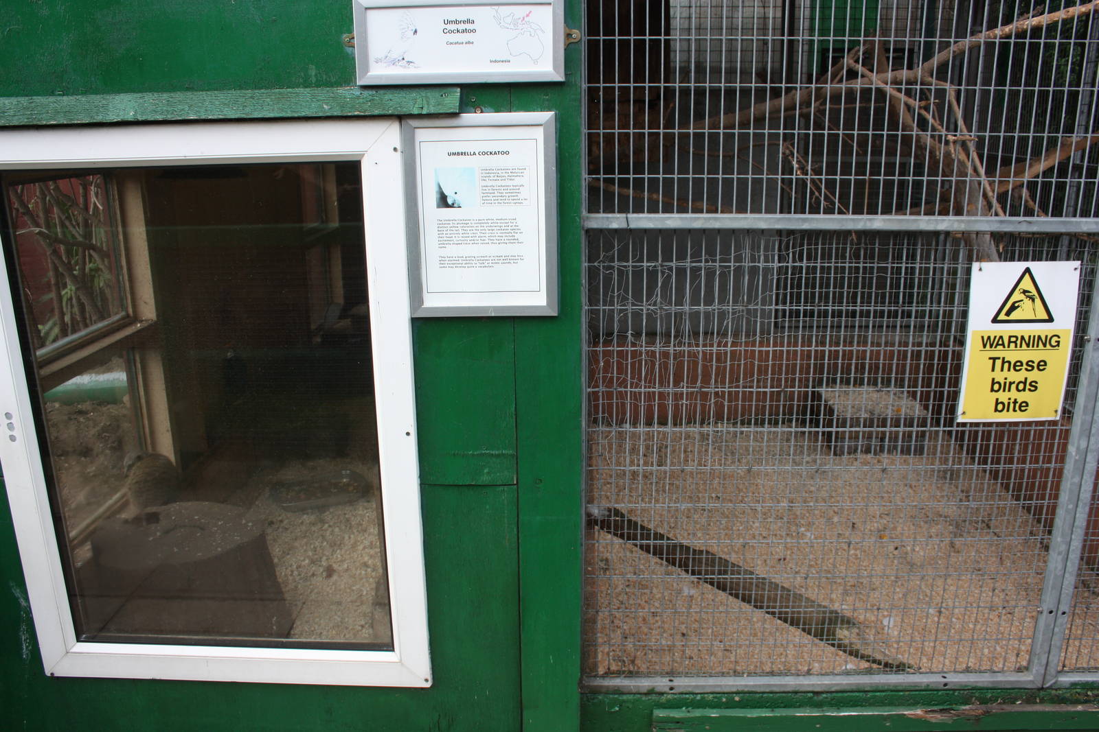 Indoor area for Meerkats (left), Umbrella Cockatoo aviary (right), 23rd Sep