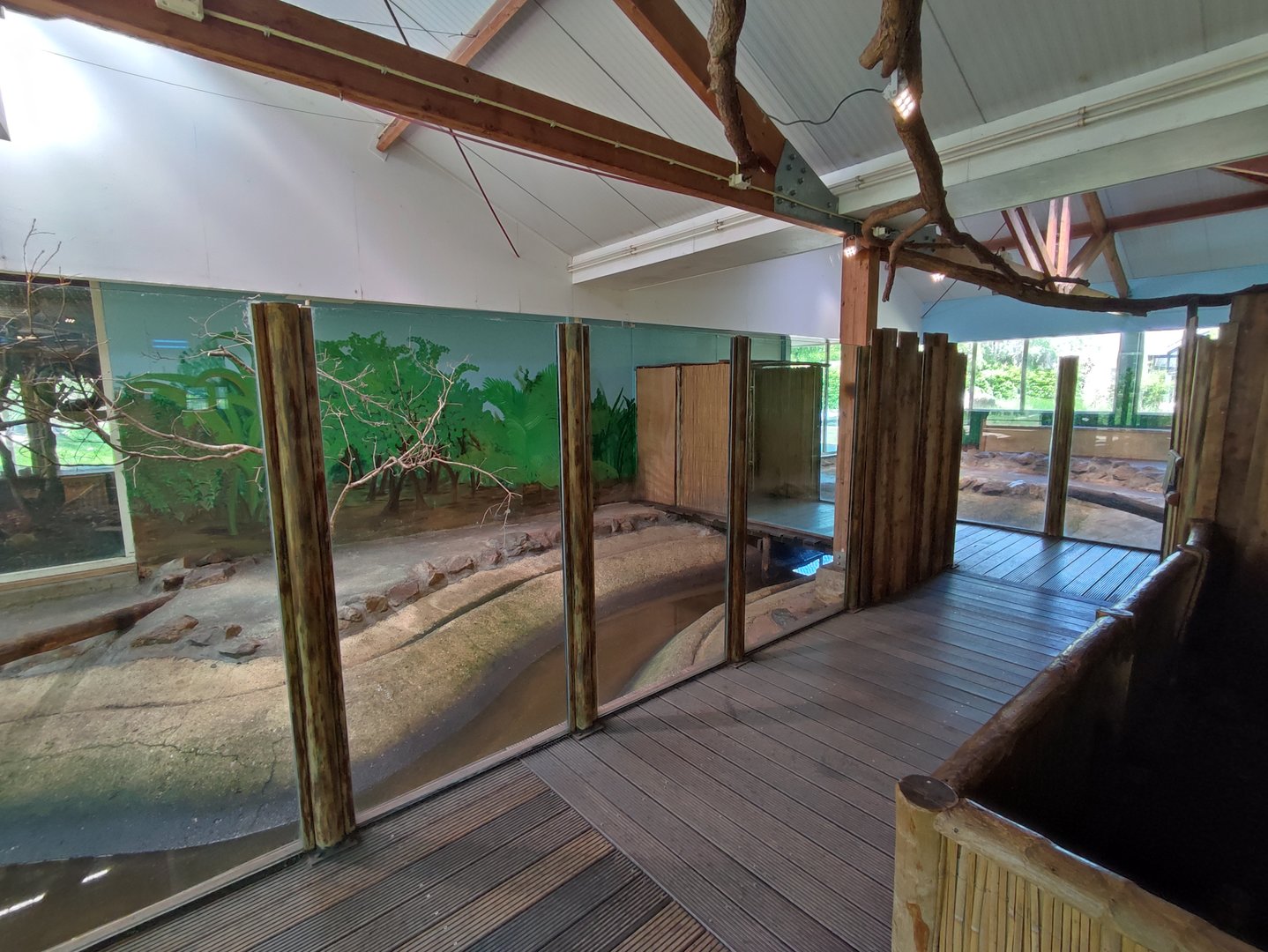 Indoor area - giant otter indoor enclosure