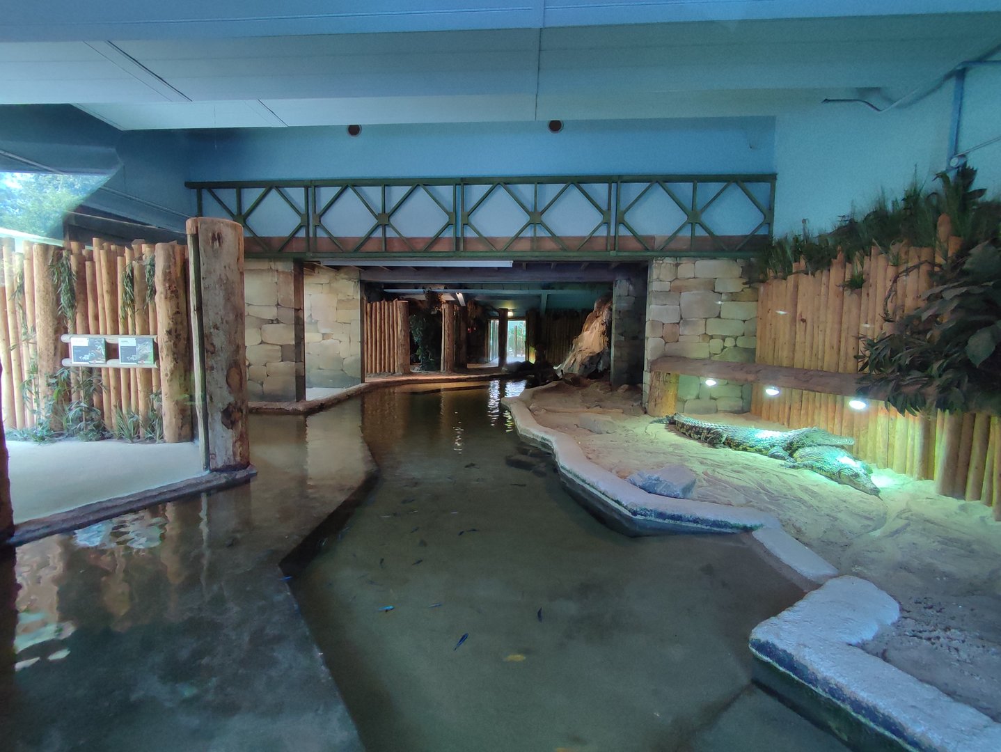 Indoor area - Nile crocodile enclosure