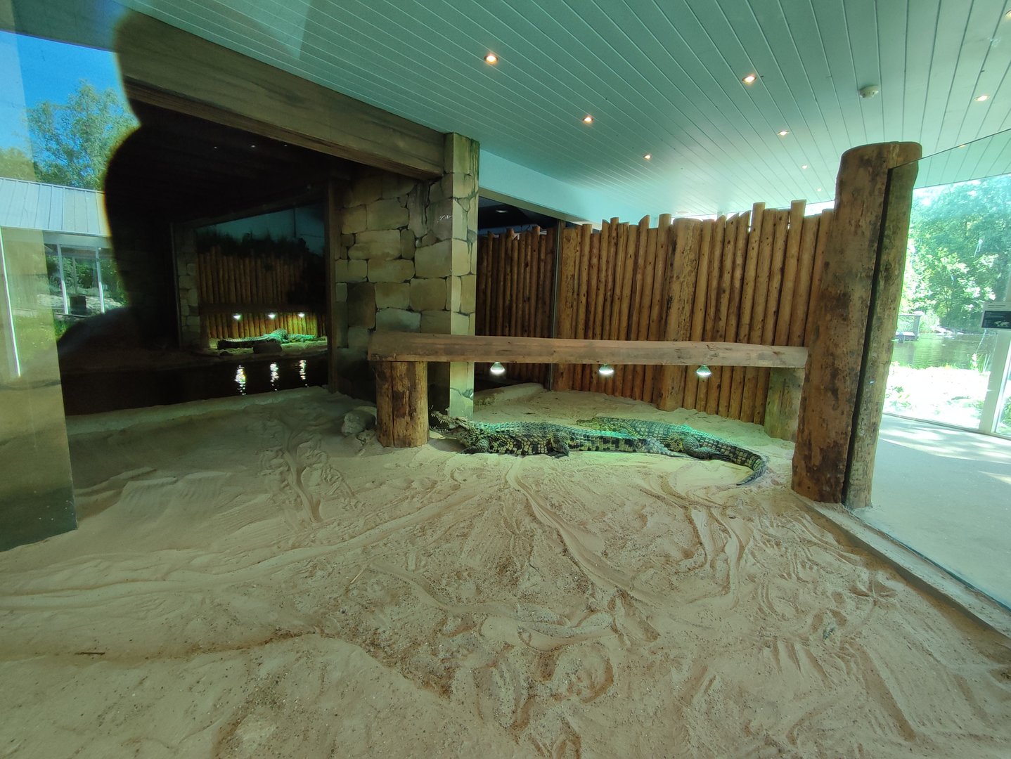 Indoor area - Nile crocodile enclosure
