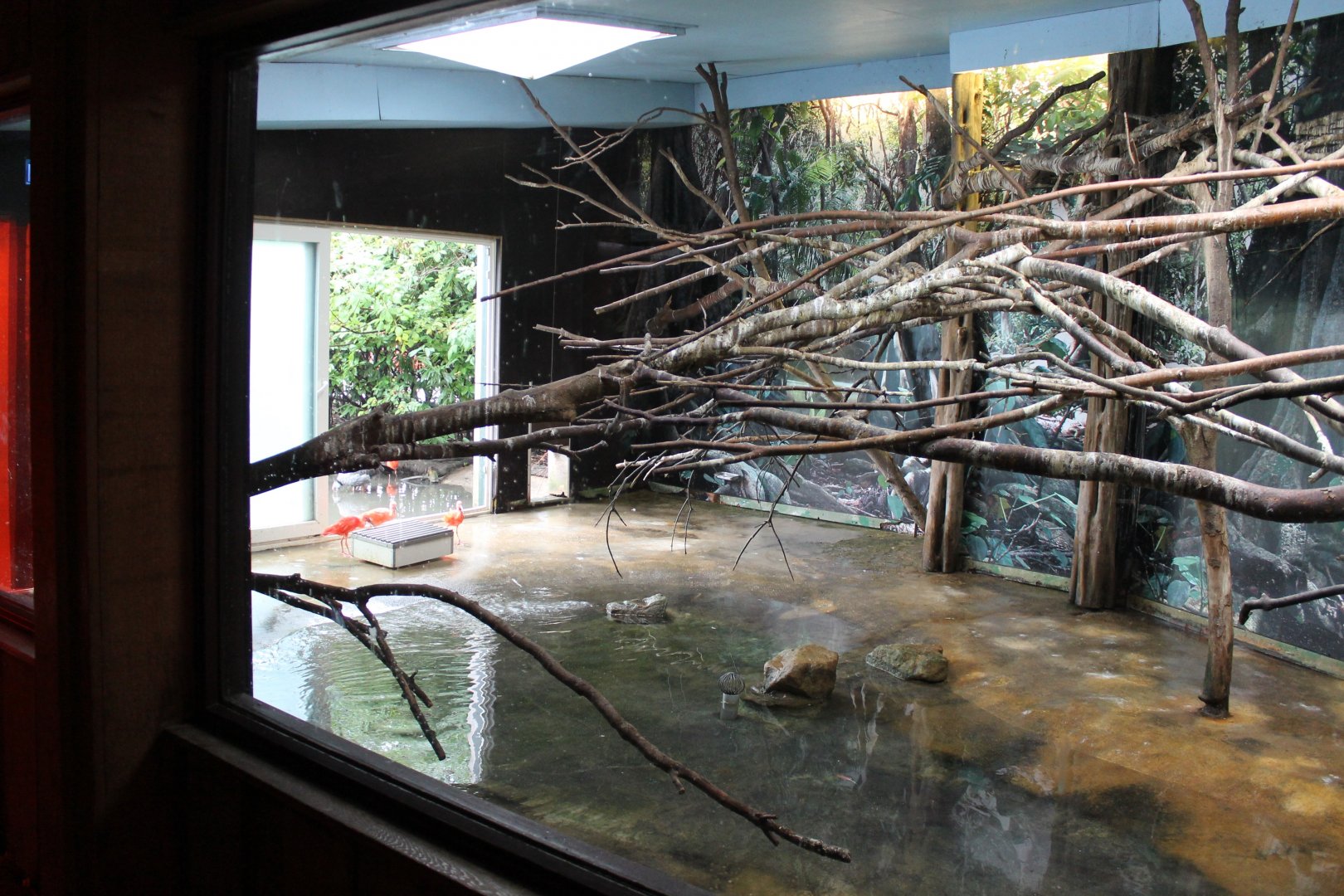 Indoor-area South-american Walk-through