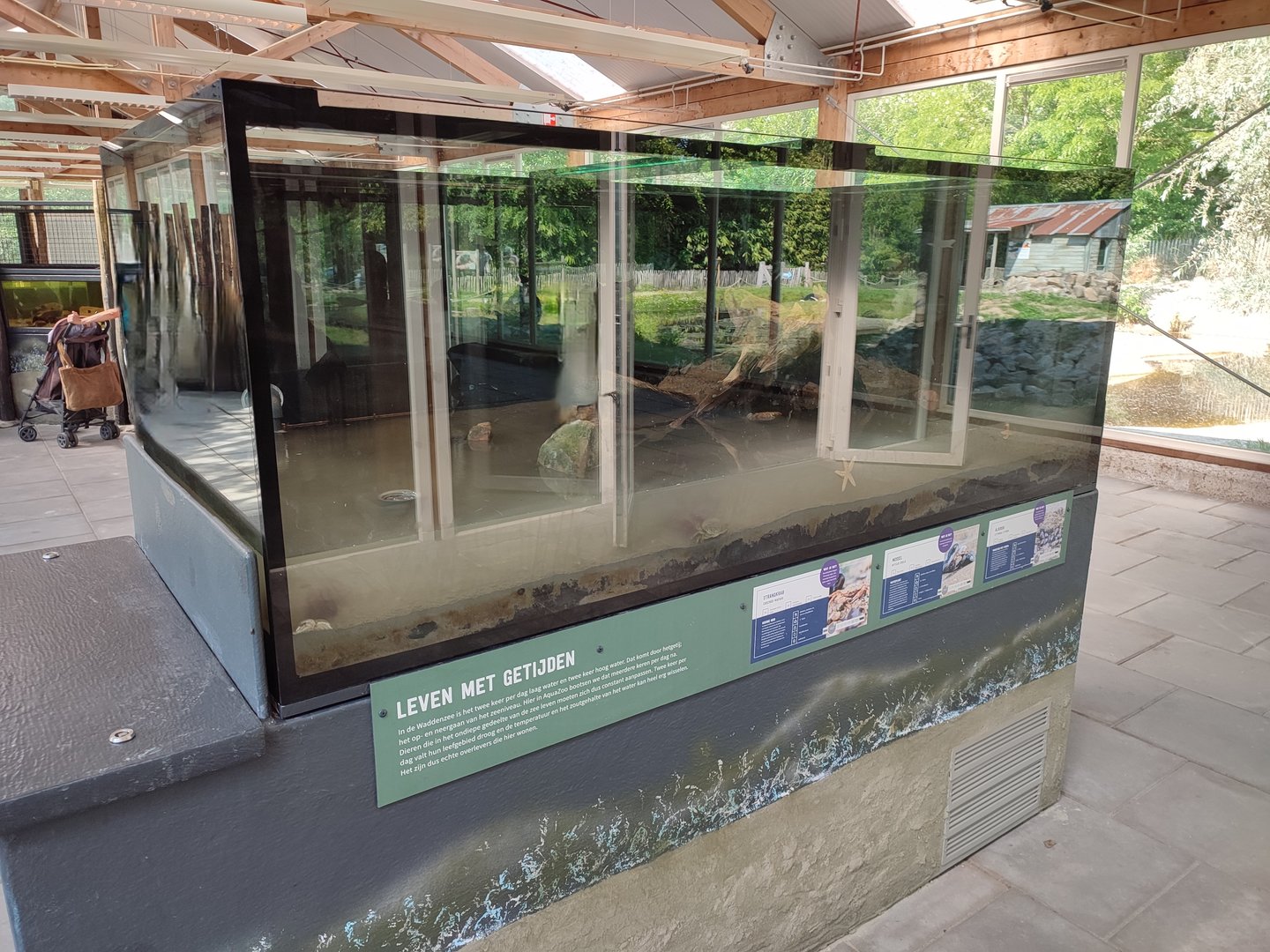 Indoor area - Tidal Aquarium