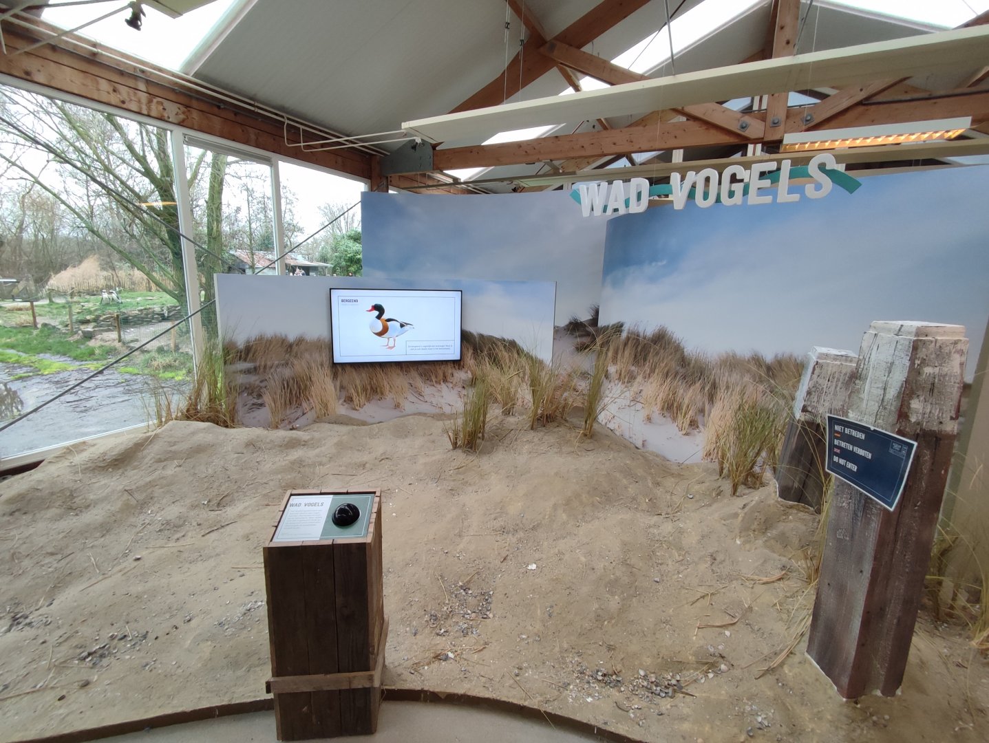 Indoor area - Wadden Sea, birds