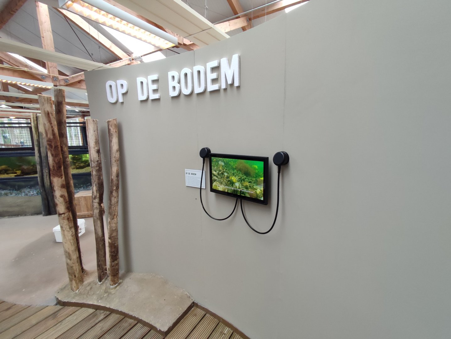 Indoor area - Wadden Sea, life at the bottom of the sea