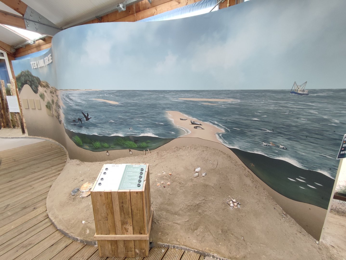 Indoor area - Wadden Sea, life in the sea