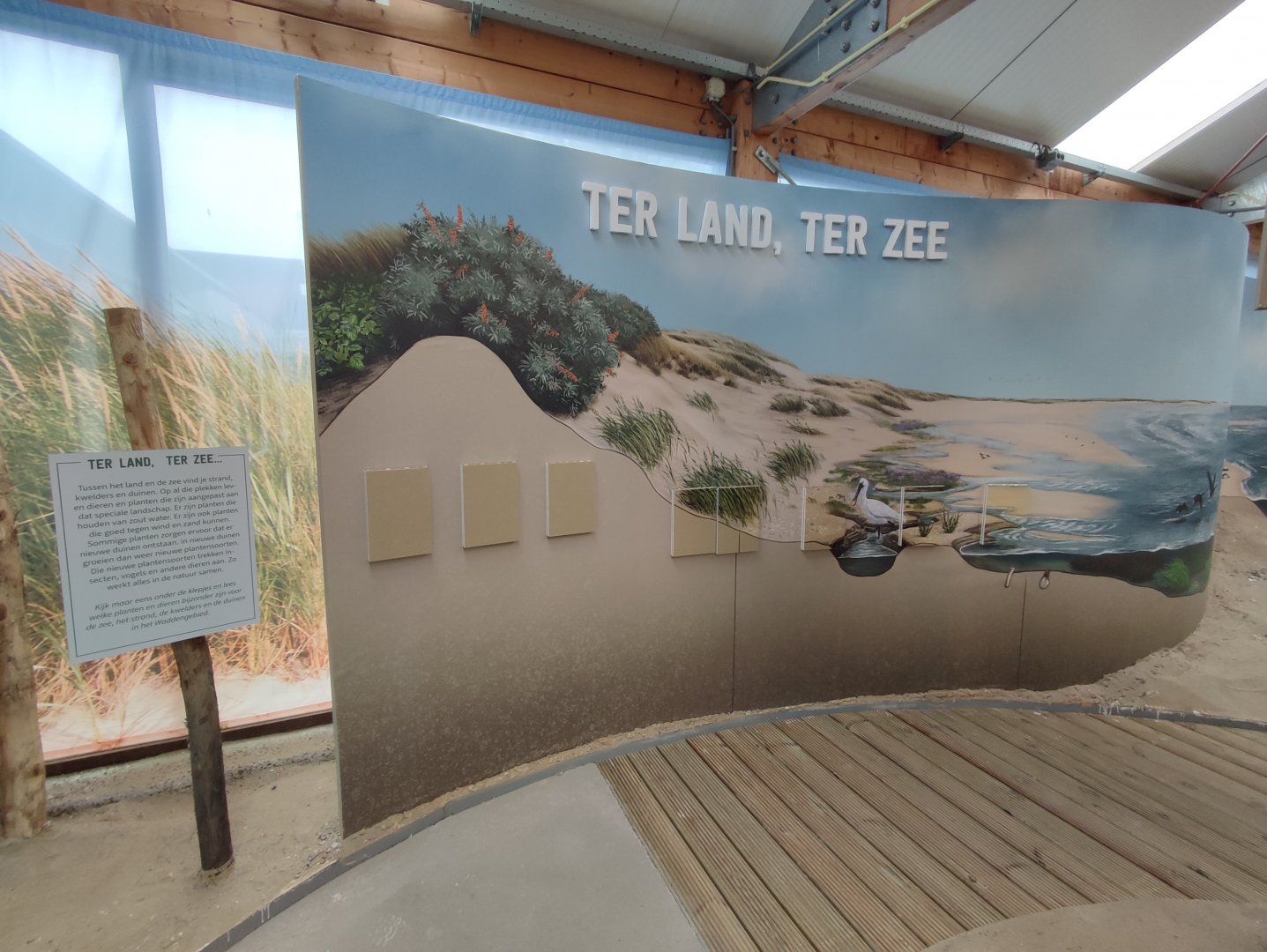 Indoor area - Wadden Sea, life on land