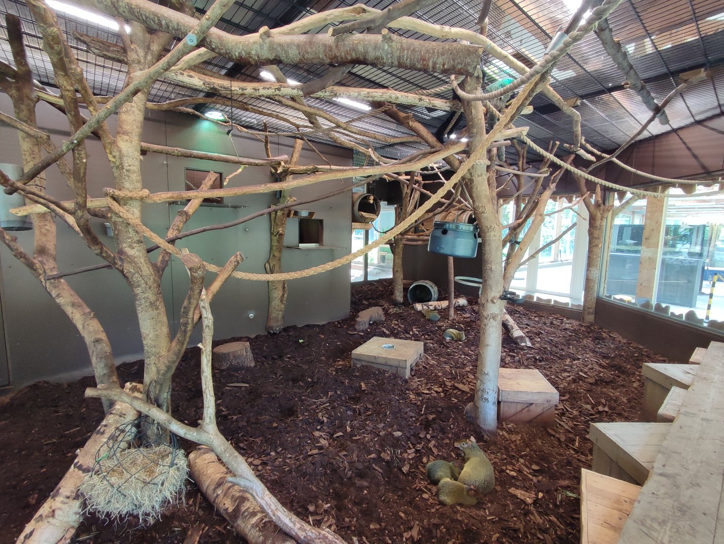 Indoor area - white-faced saki enclosure