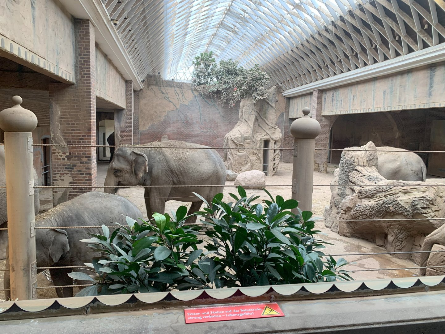 Indoor Asian Elephant enclosure - Asia