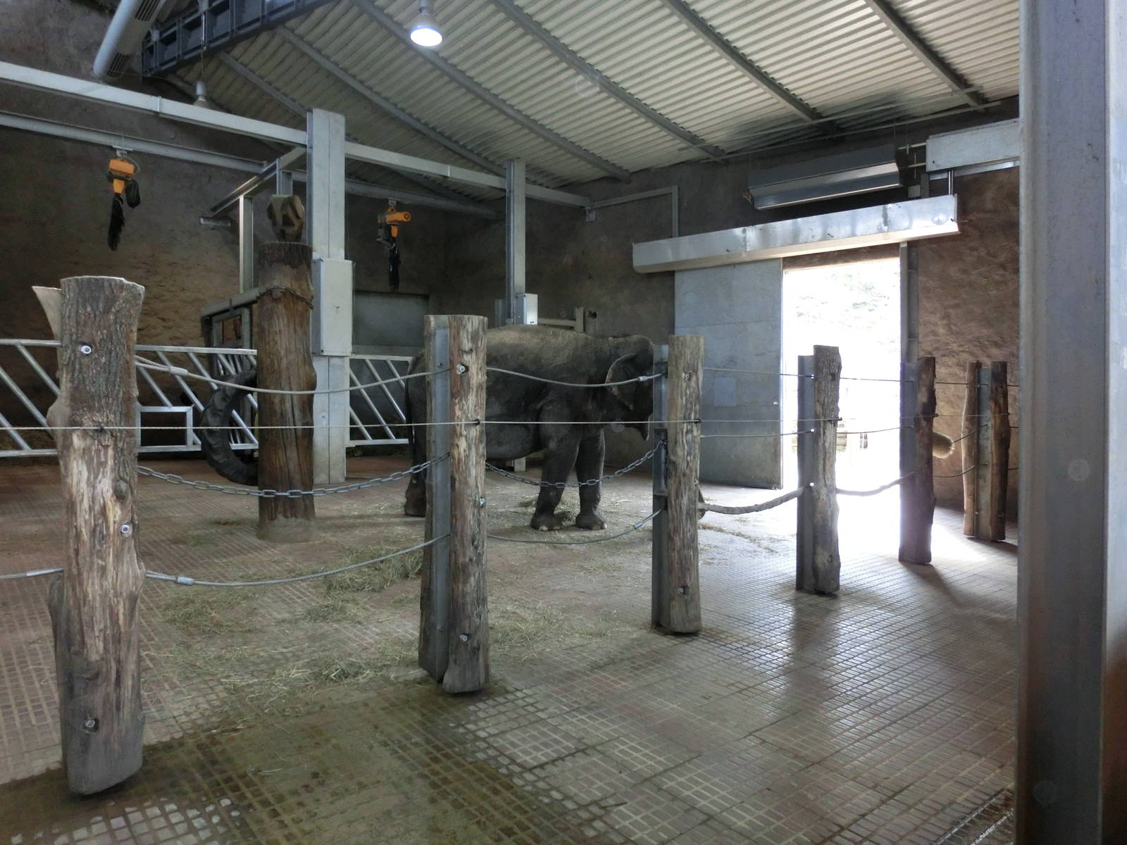 indoor asian elephant exhibit - Zoo Neunkirchen