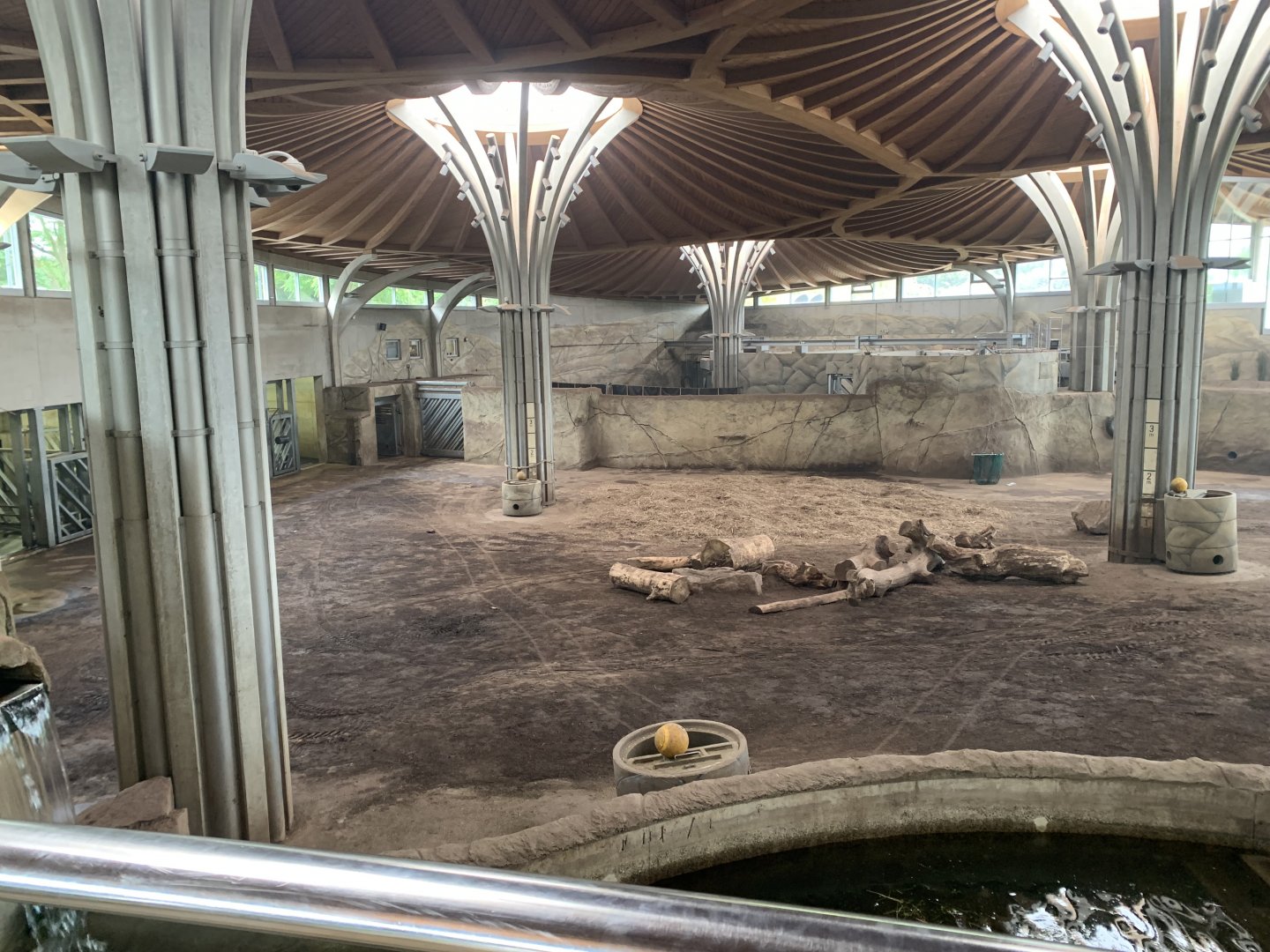 Indoor Asian elephant exhibit