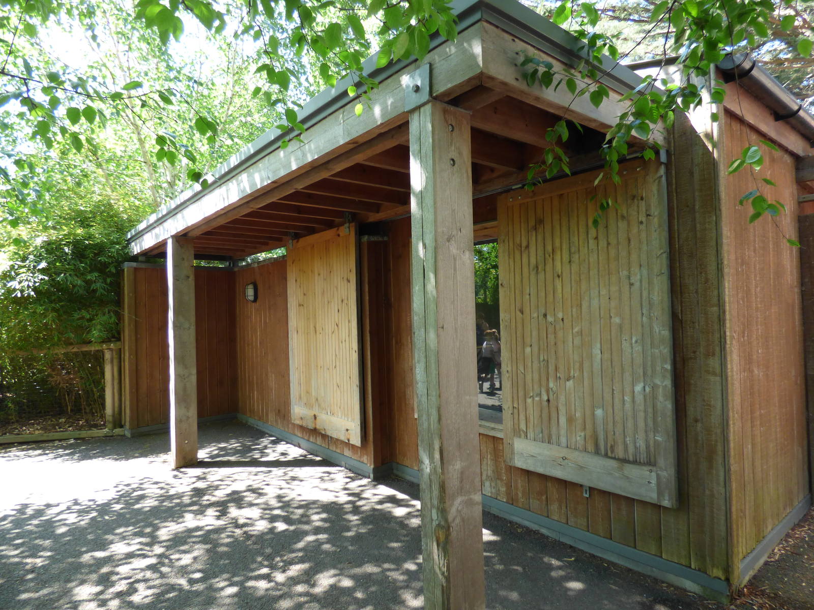 Indoor Asian Lion Viewing Area