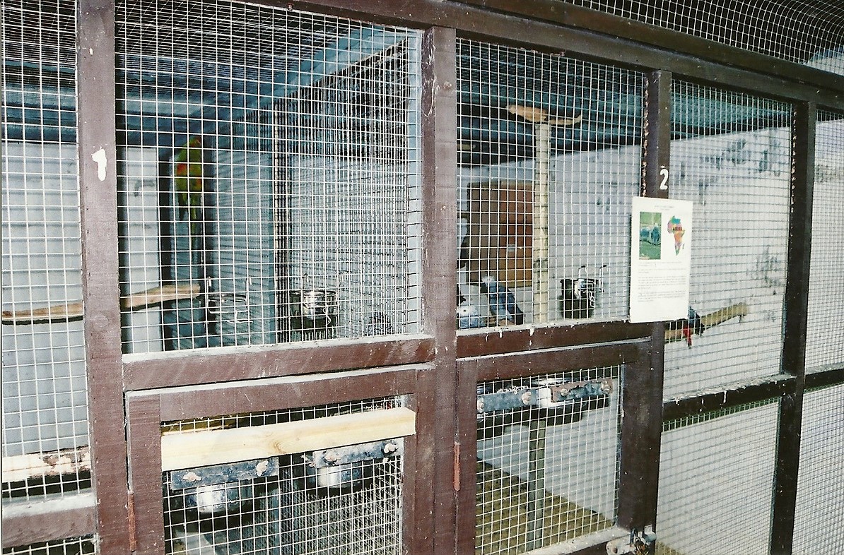 Indoor aviaries, 5th September 2006