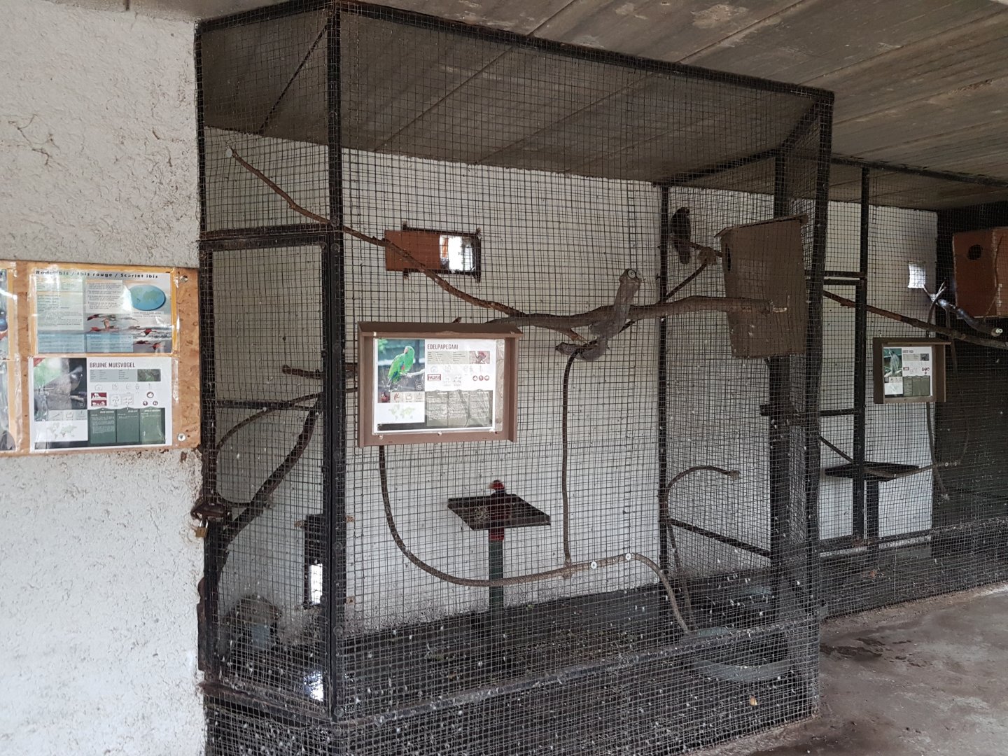 Indoor-aviaries Eclectus and Vasa parrots