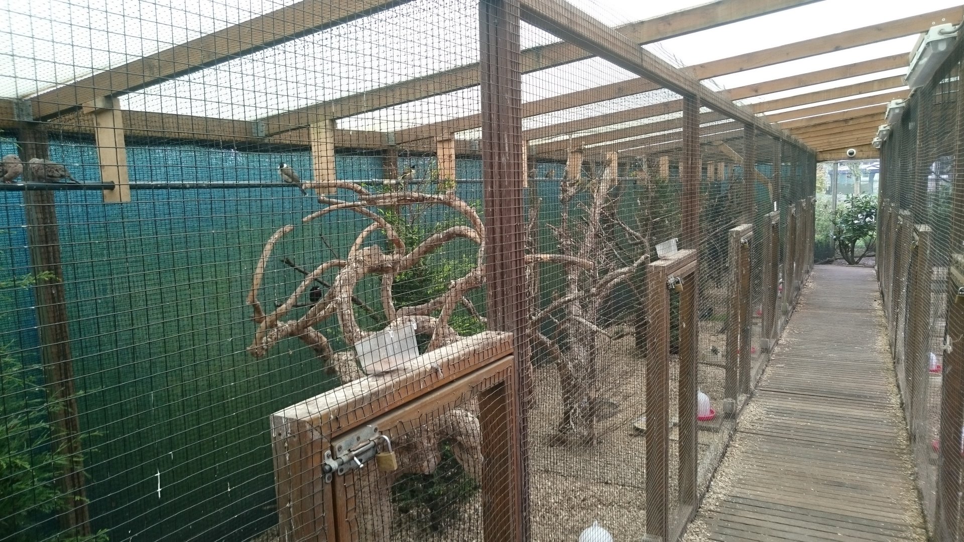 Indoor-aviaries