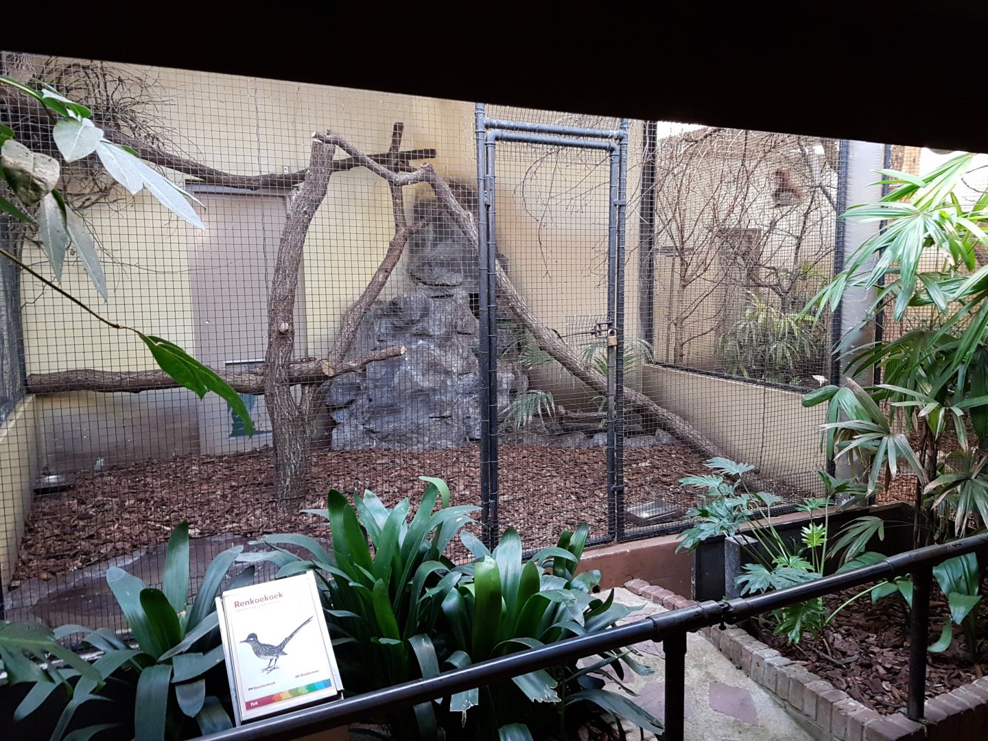 Indoor-aviary Birdhouse - Roadrunner