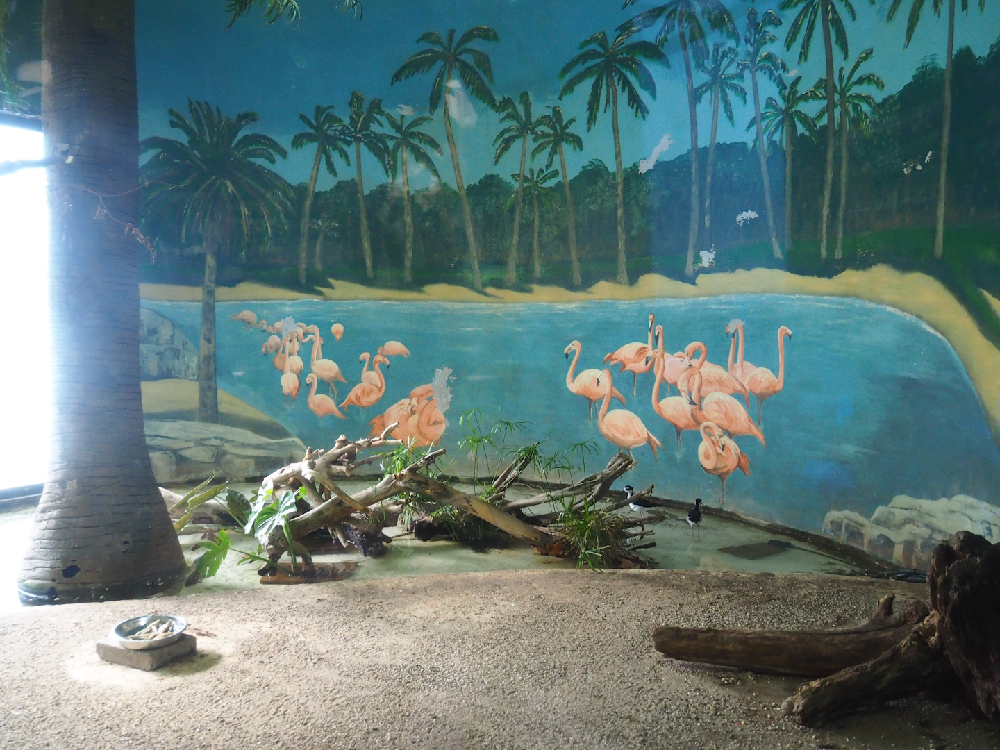 Indoor aviary for ducks, stilts and Inca terns, 2023-08-17