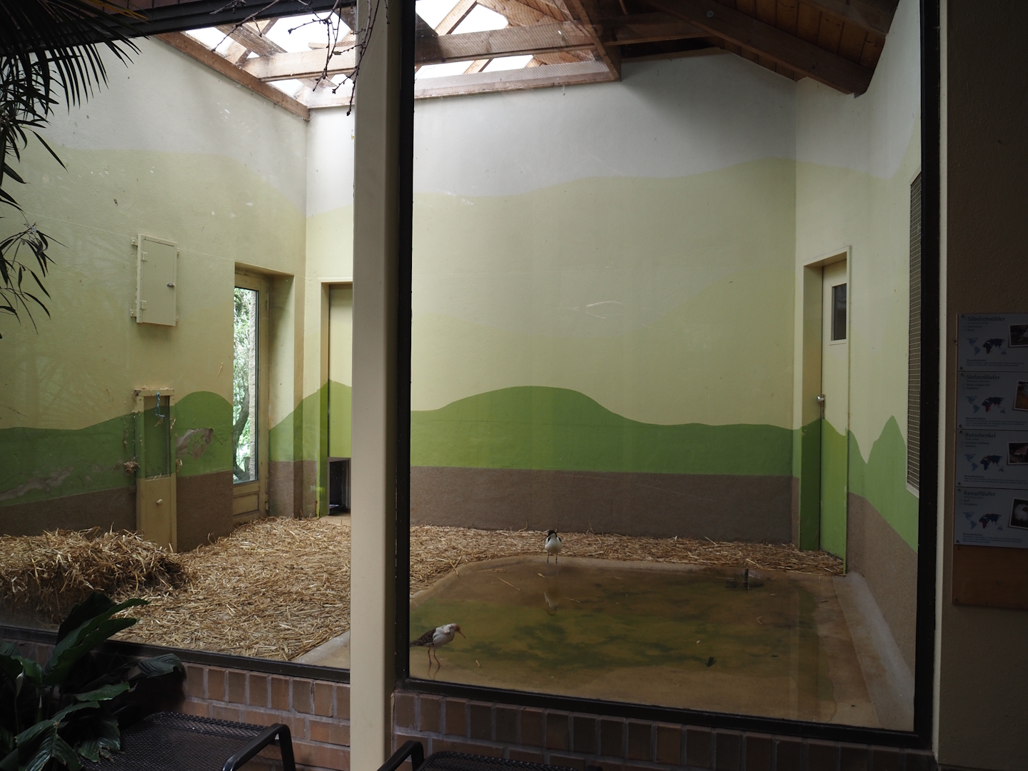 Indoor aviary for European wading birds, 2025-05-22