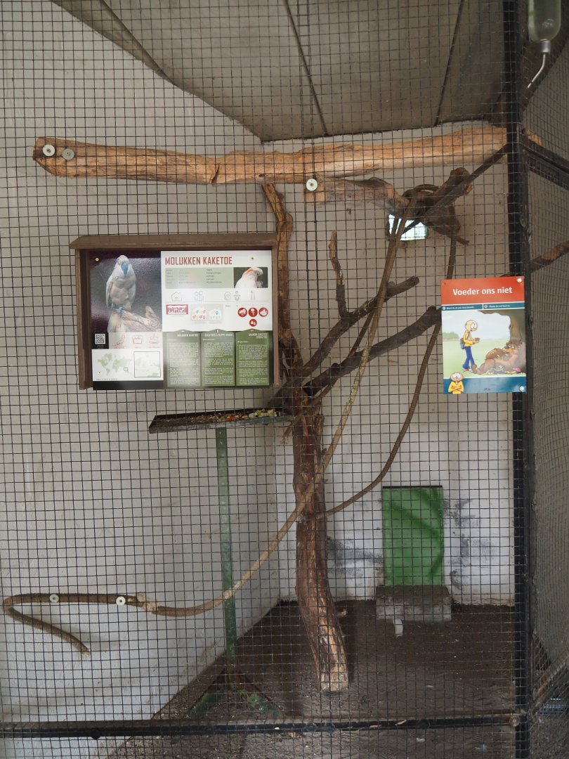 Indoor aviary for Hallo the Moluccan cockatoo, 2019-08-04