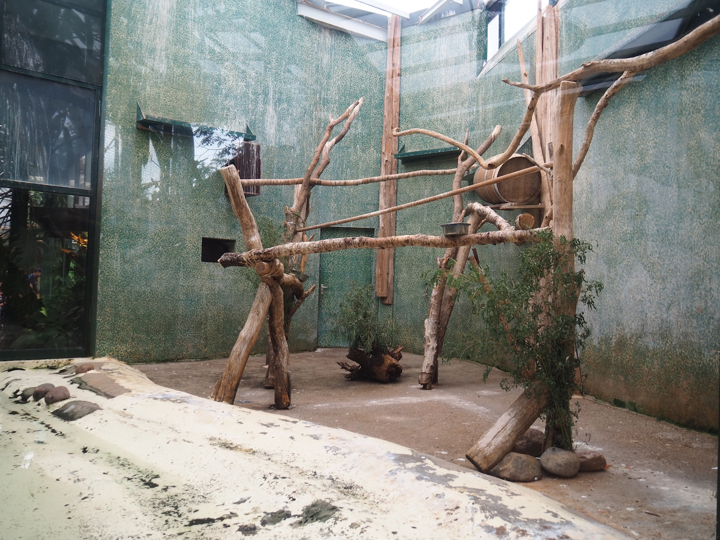 Indoor aviary for ibises, 2023-08-17