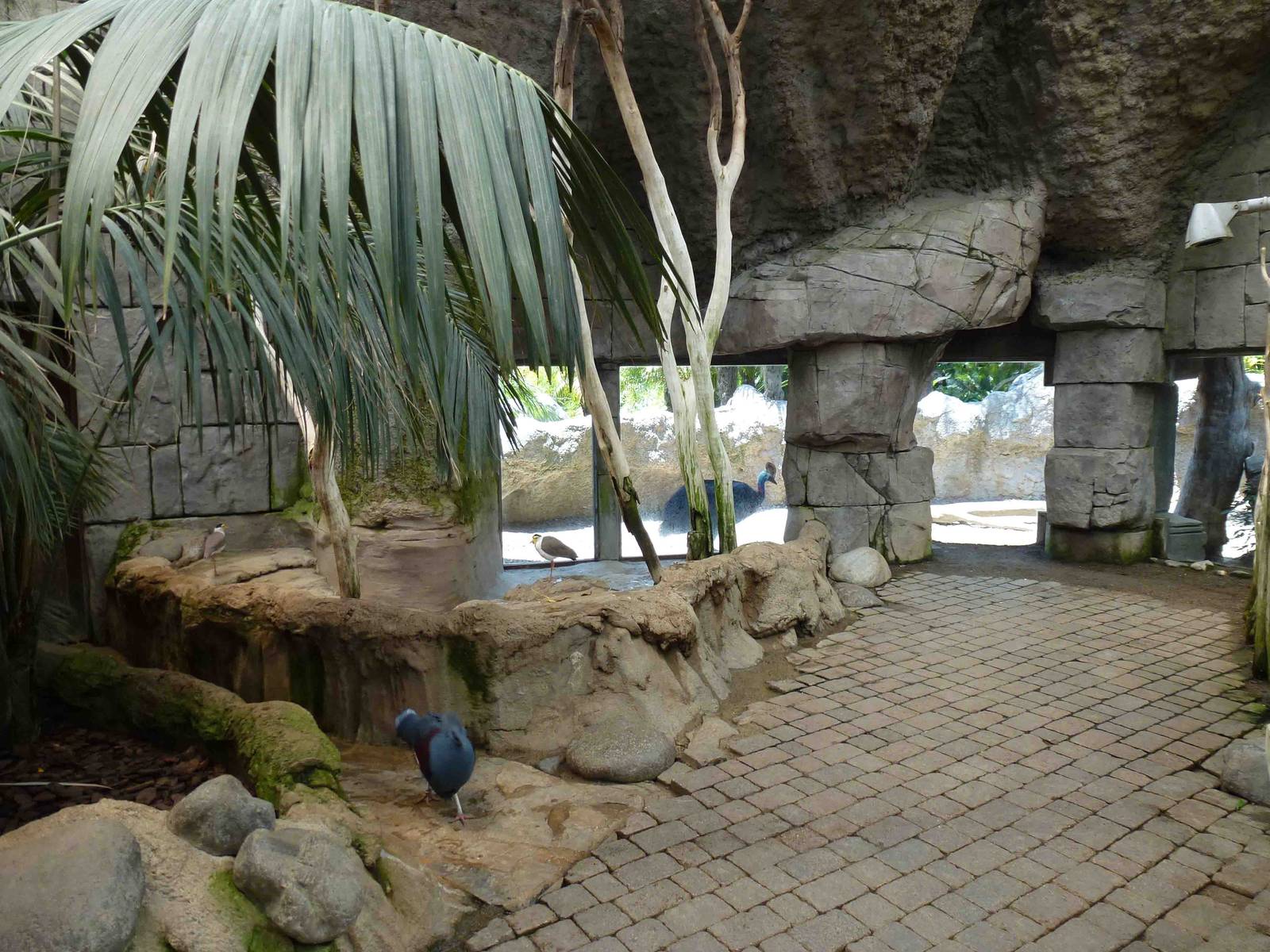 Indoor aviary, July 2013.