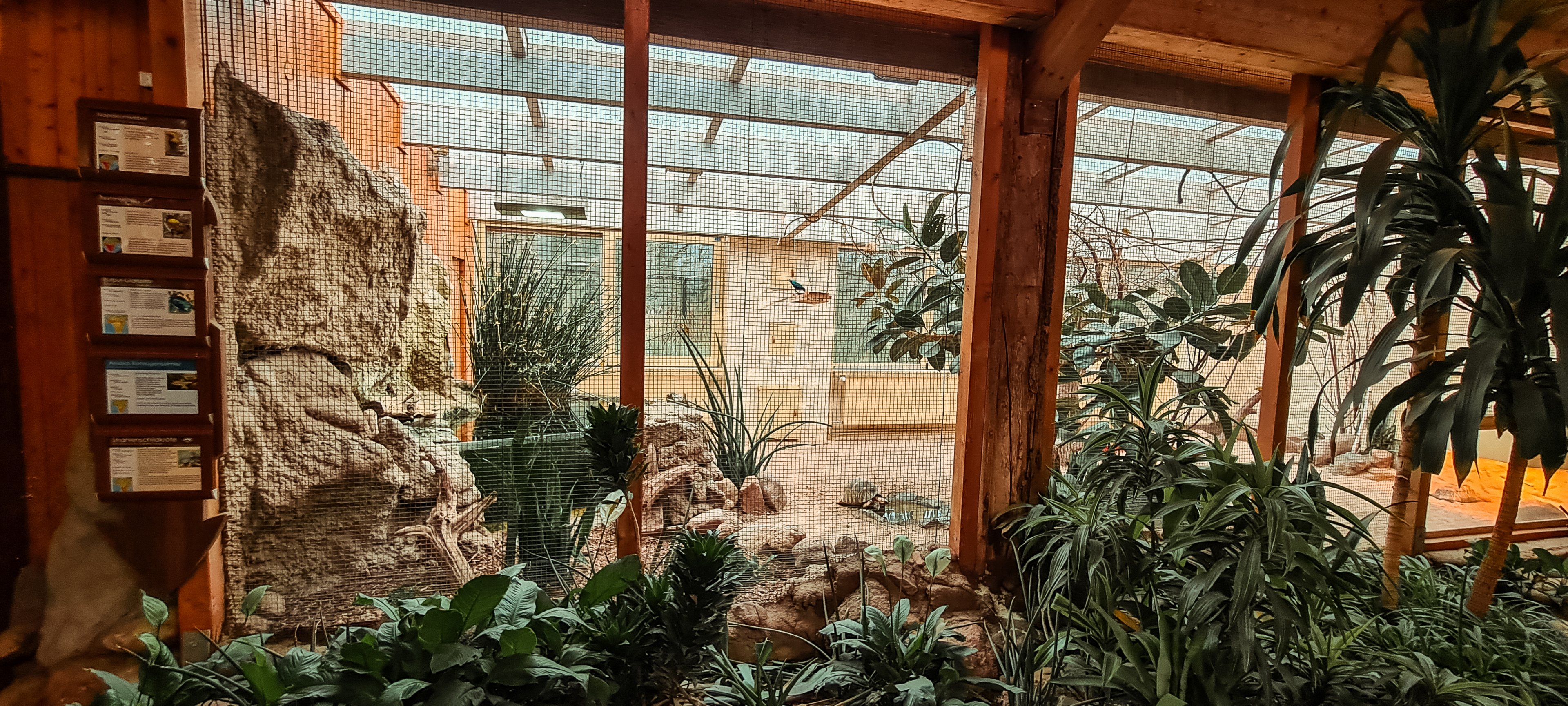 Indoor aviary with pond