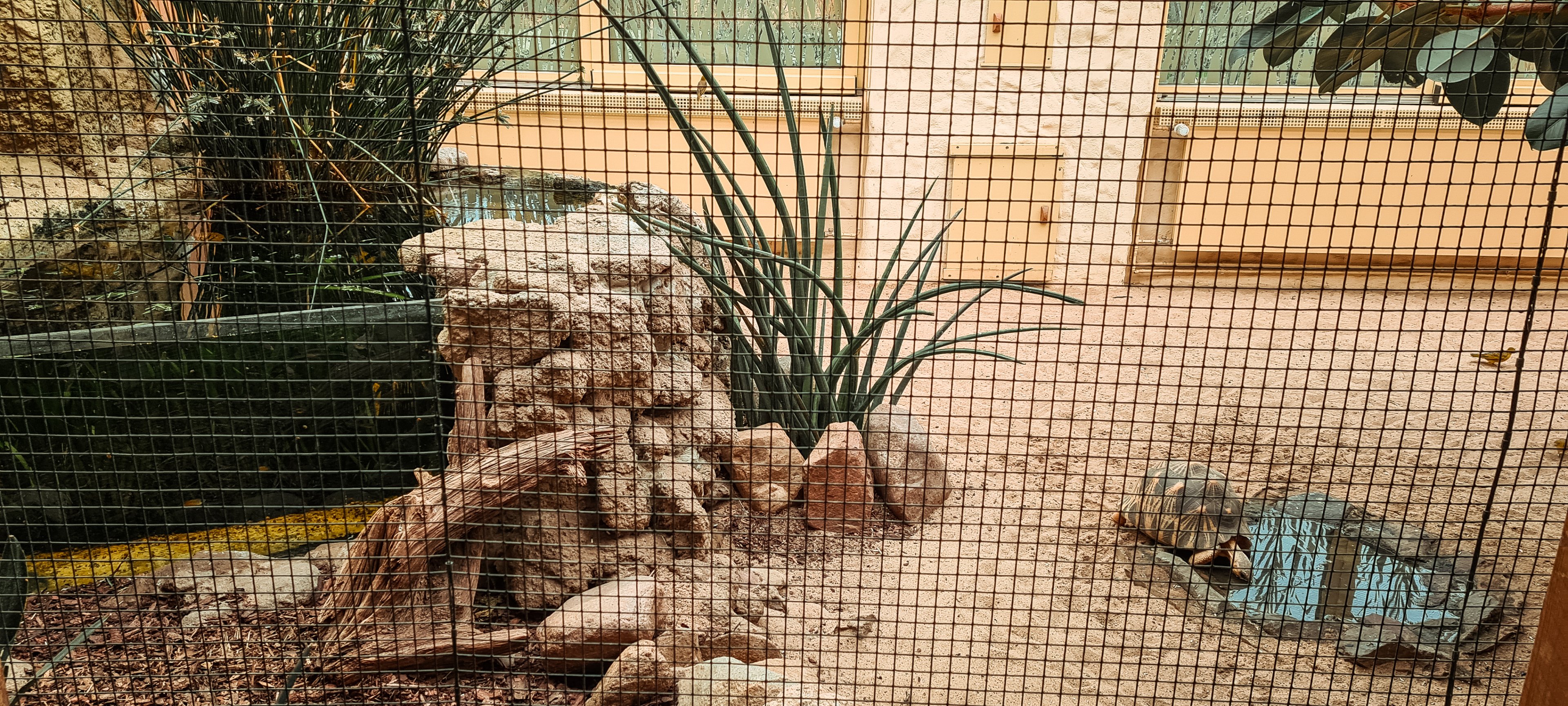 Indoor aviary with pond