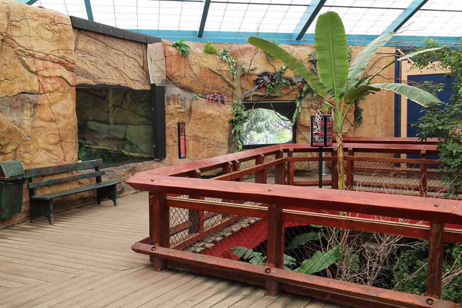 indoor aviary