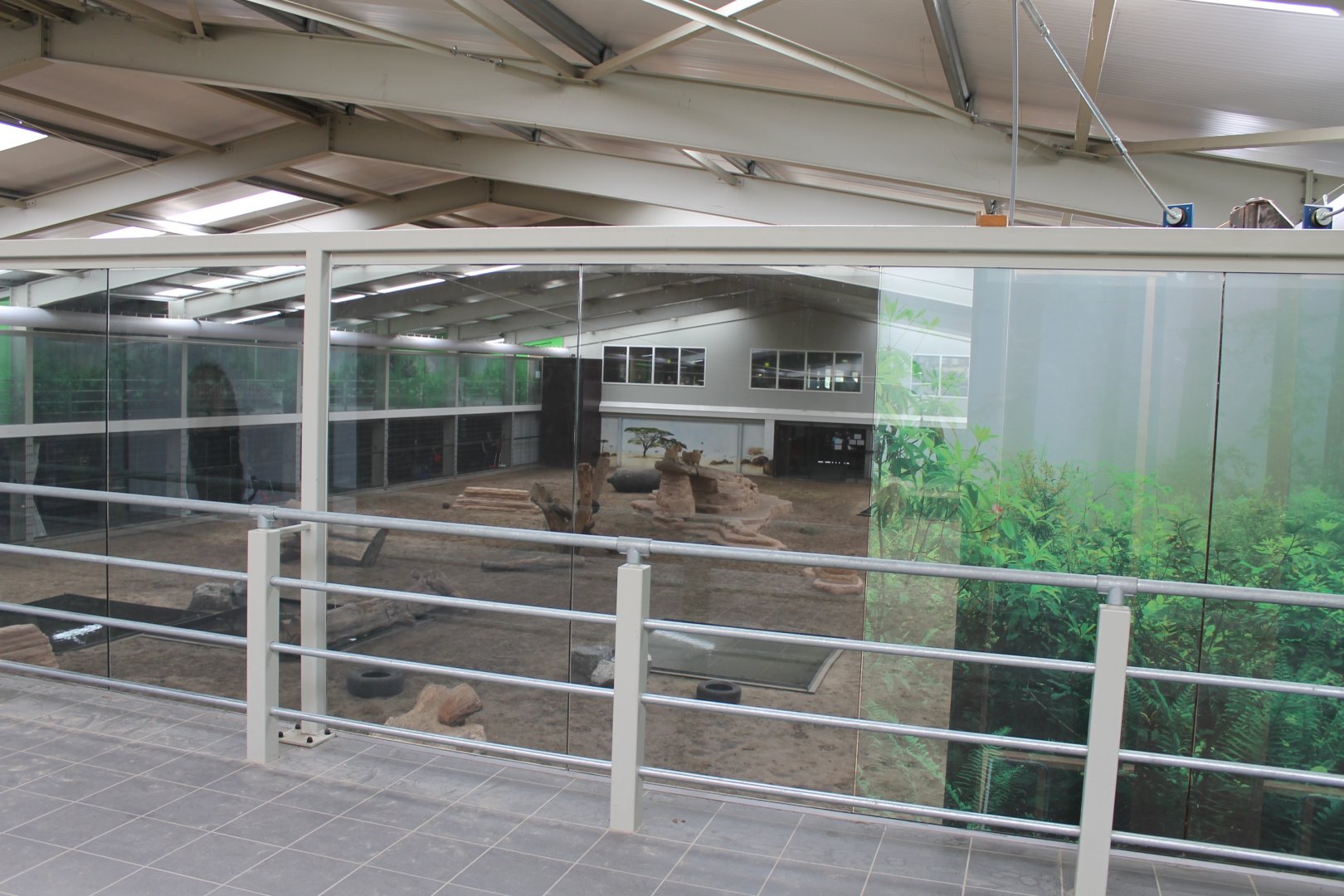 Indoor Big Cat Arena