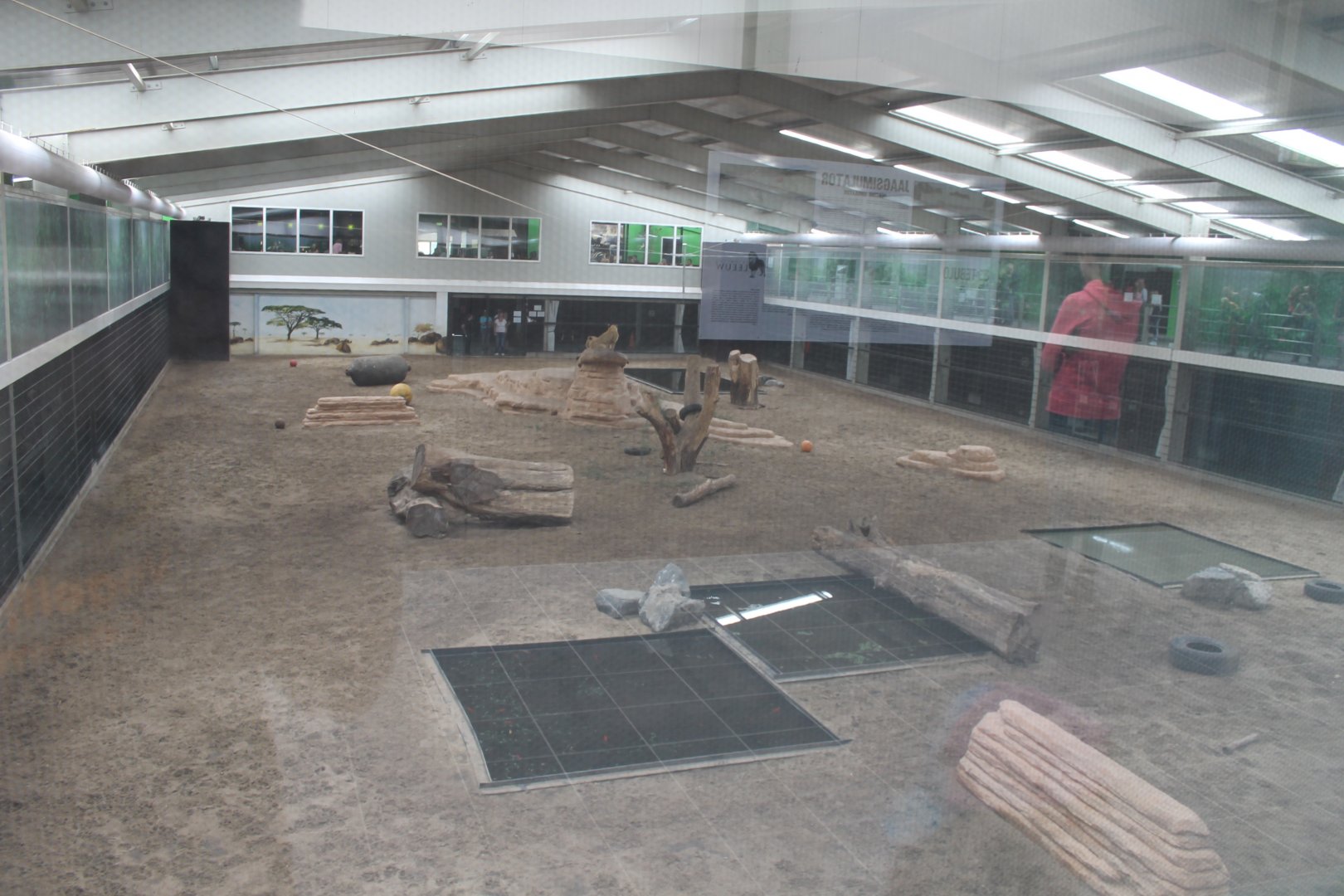 Indoor Big Cat Arena