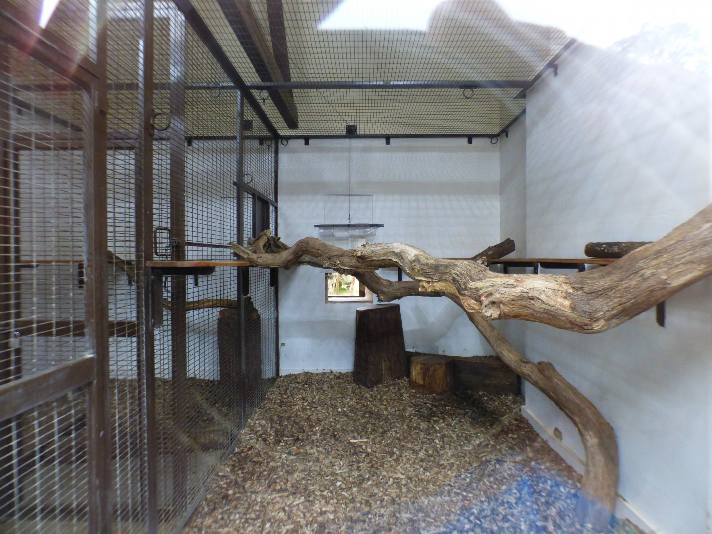 Indoor Binturong Enclosure