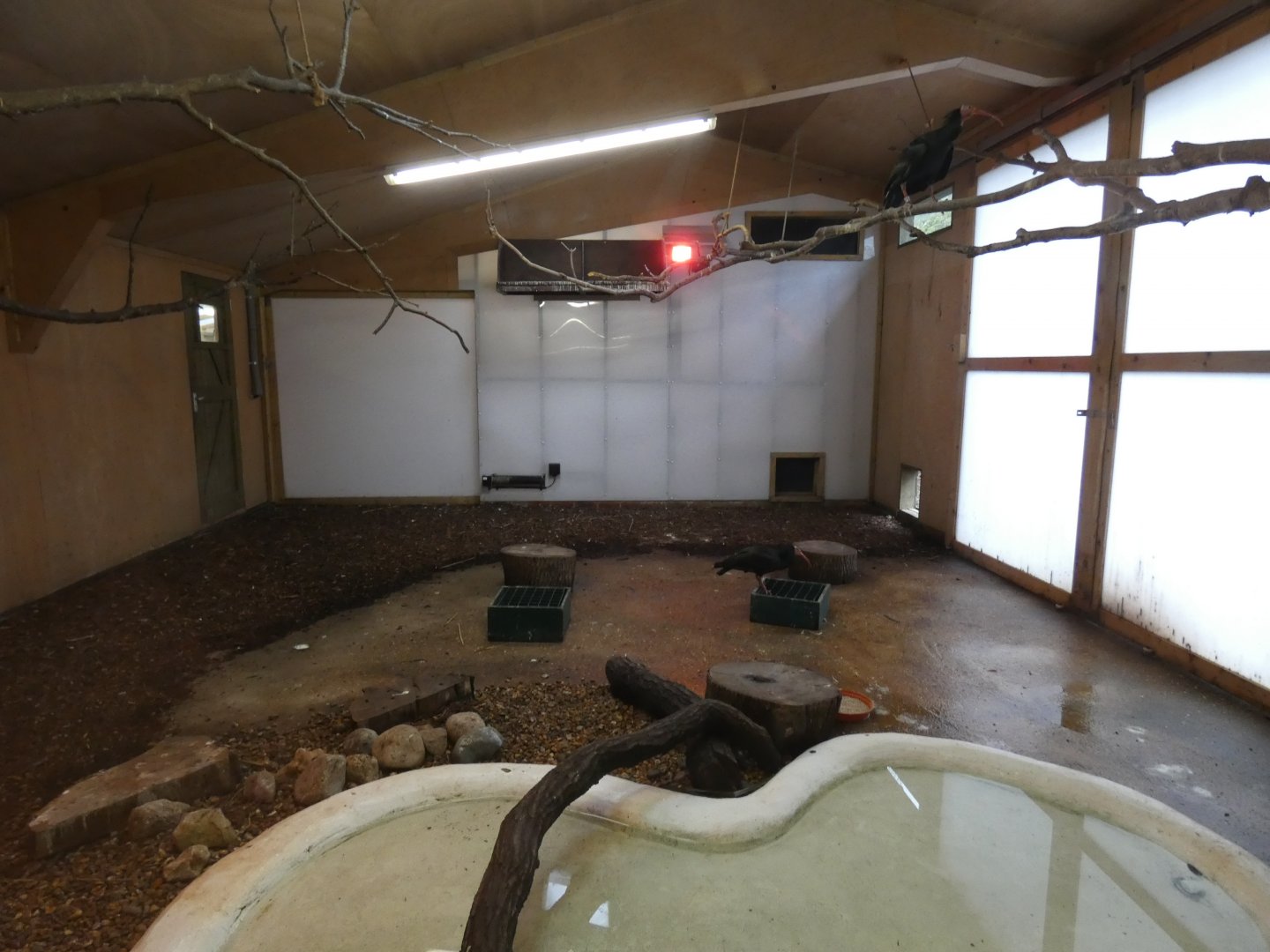 Indoor bird enclosure in 'Fur, Feathers & Claws'