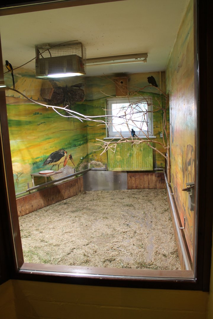 Indoor bird enclosure