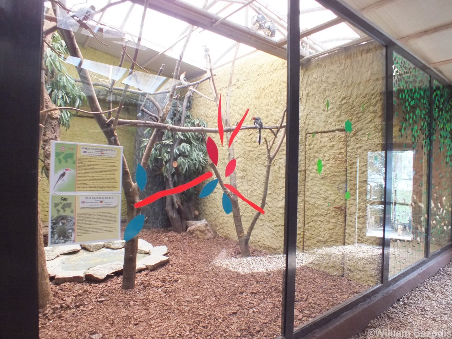 Indoor Bird Enclosure