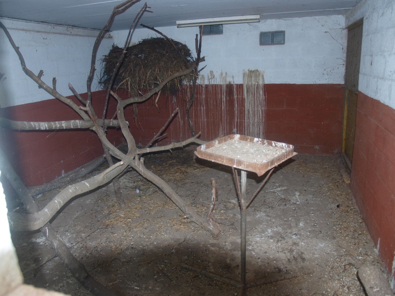 Indoor bird housing (April 19th, 2015)