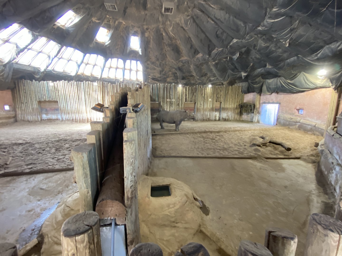 Indoor black rhino enclosure