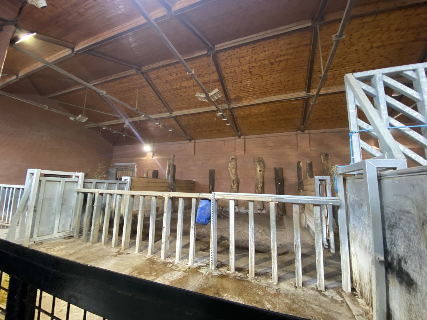 Indoor black rhino enclosure