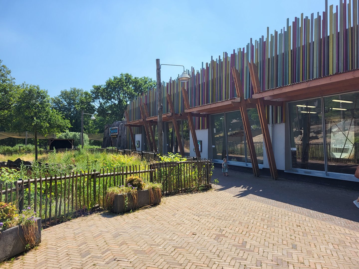 Indoor Bonobo enclosure