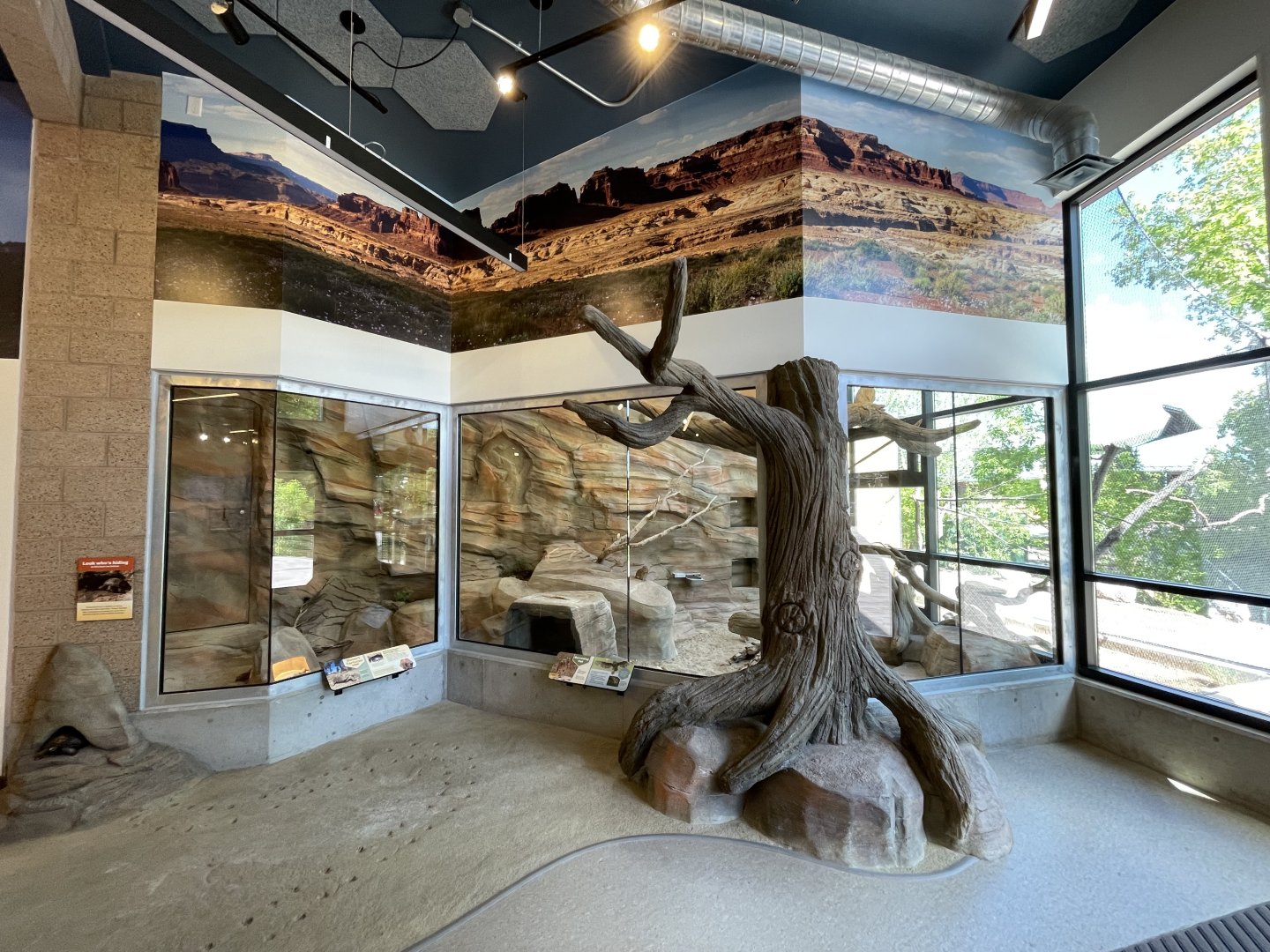 Indoor Burrowing Owl and Desert Tortoise Habitat