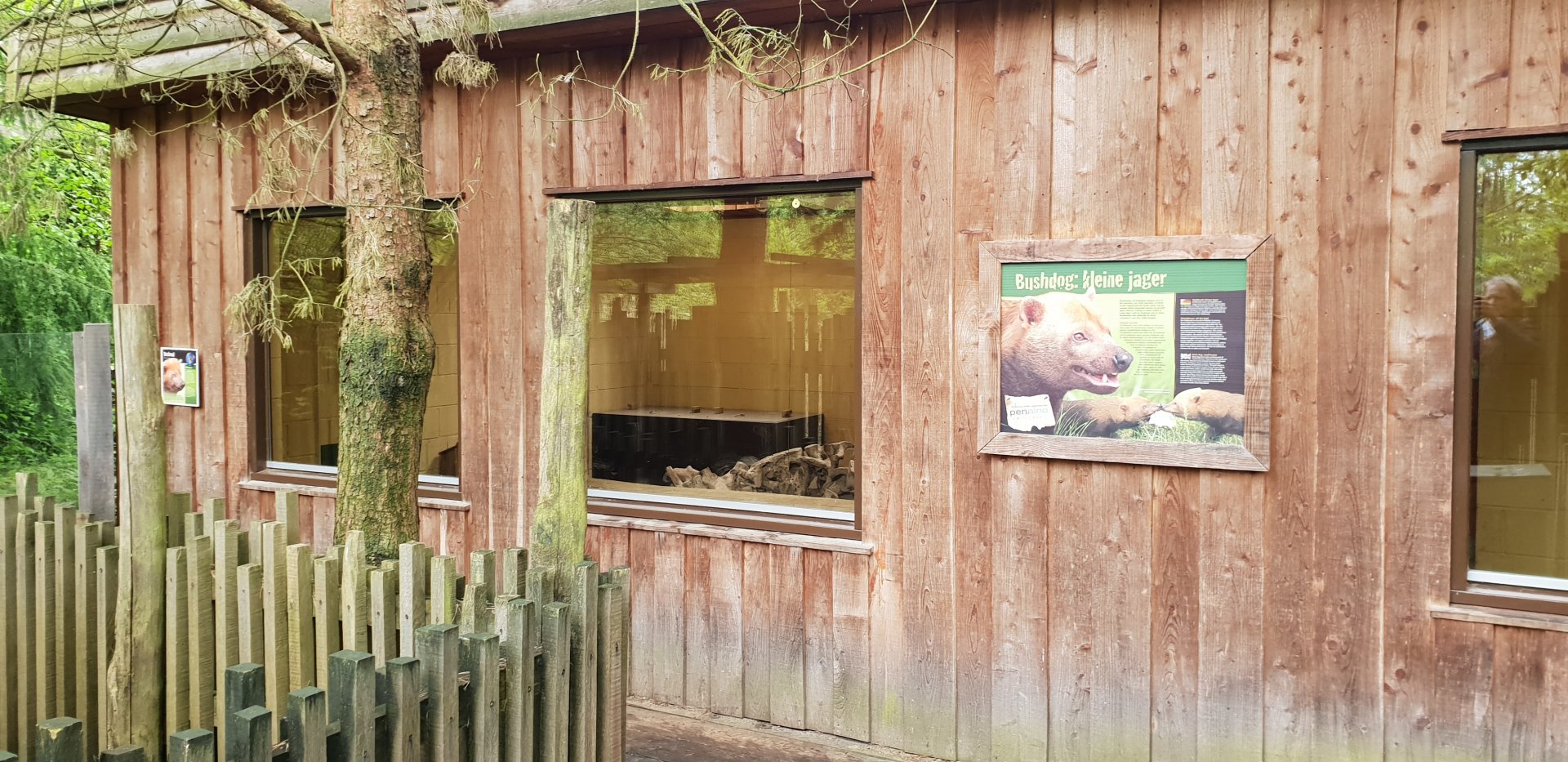 Indoor Bush dog-enclosure
