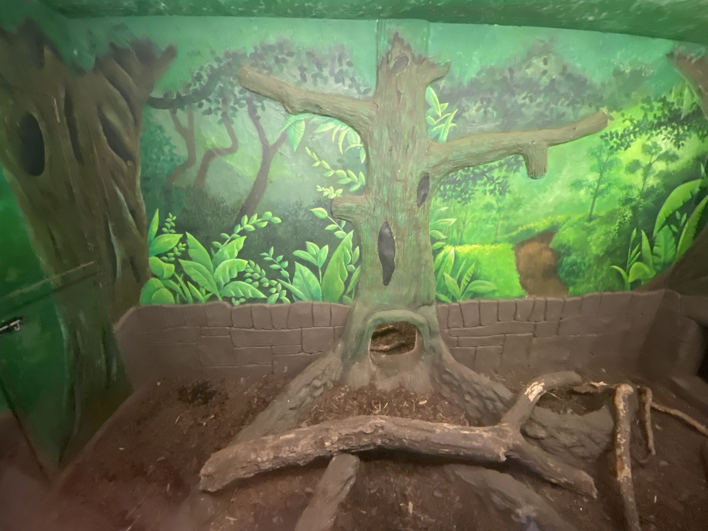 Indoor bush dog enclosure