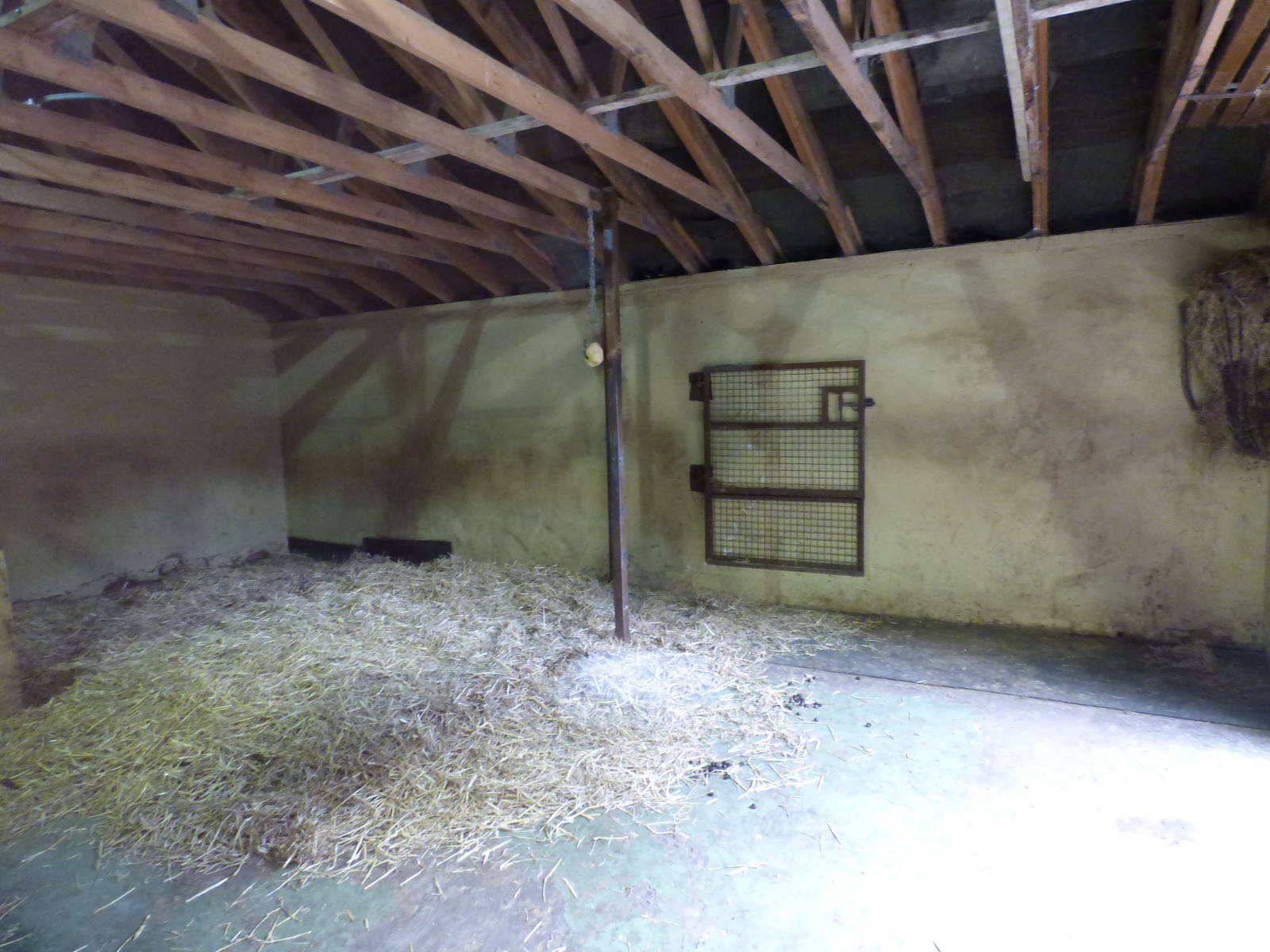 Indoor Camel Enclosure